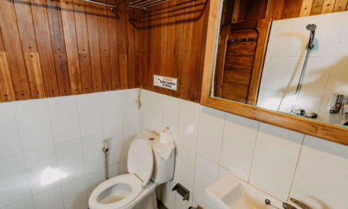 Adishree-Phinisi-Cabin-23-Lower-Deck-Toilet